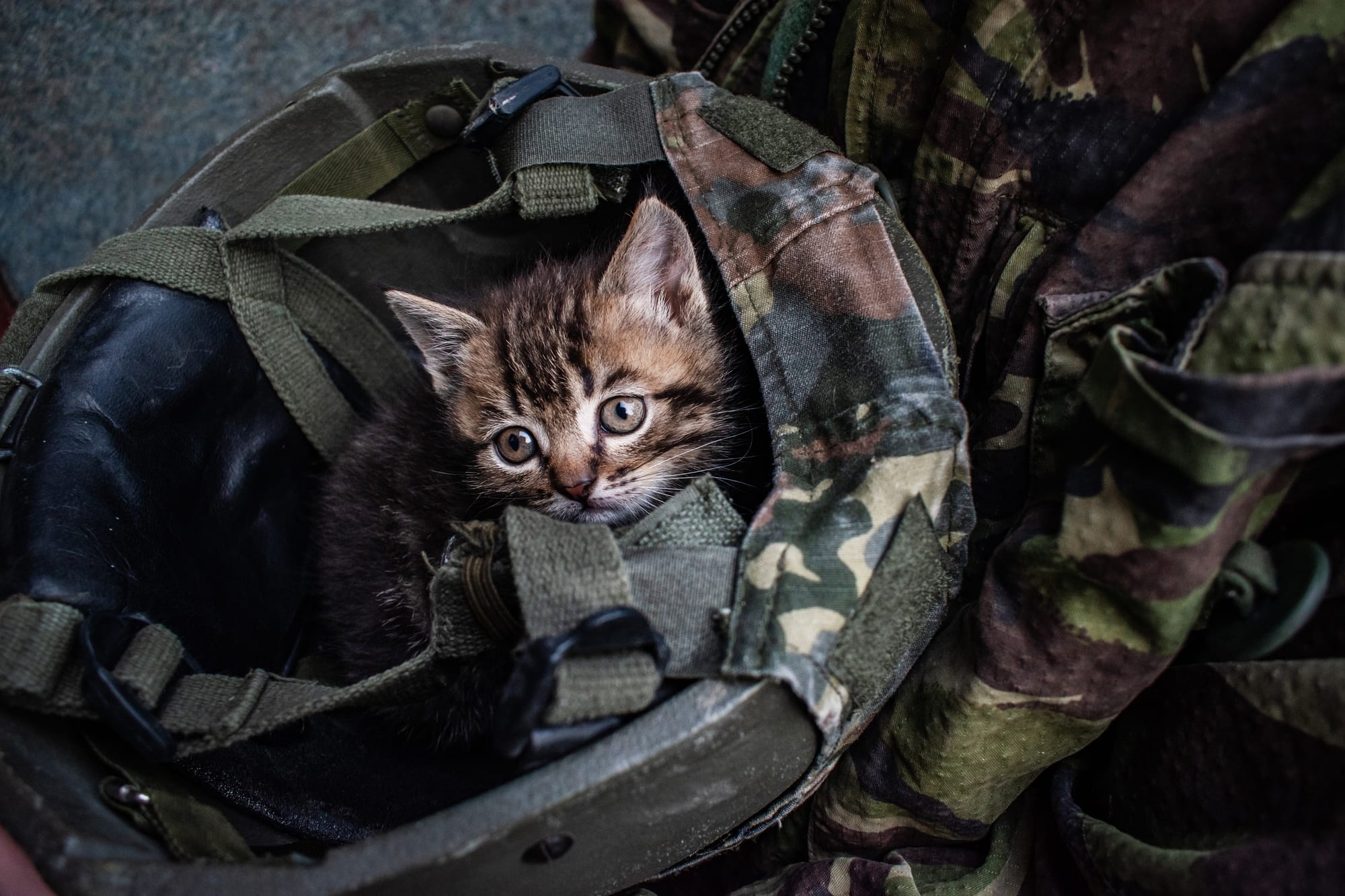 Fotografija NPK Vojak veterinarski bolničar