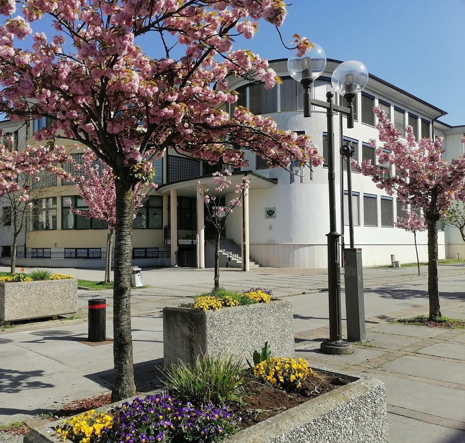 Strokovni izobraževalni center Alme M. Karlin